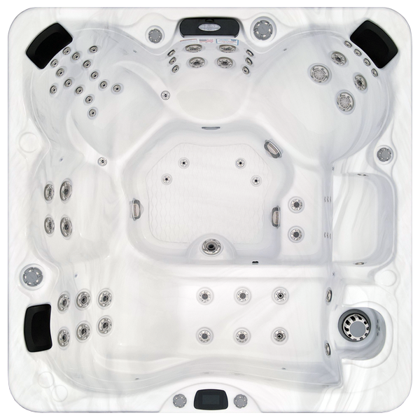 Avalon-X EC-867LX hot tubs for sale in Minneapolis