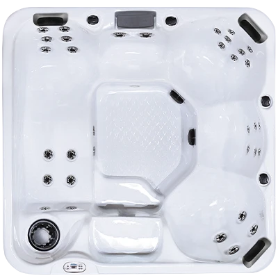 Hawaiian Plus PPZ-634L hot tubs for sale in Minneapolis